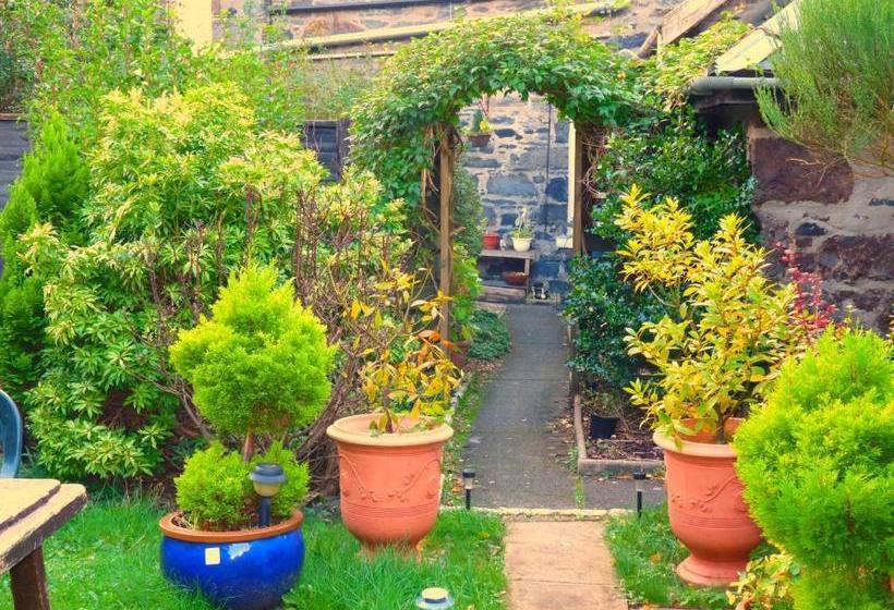 Pensionat Arbour Guest House