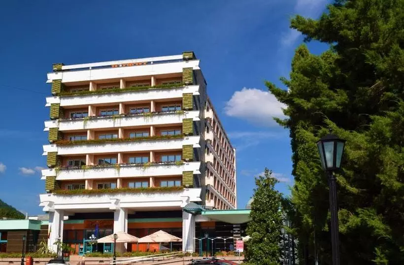 Carpati Hotel Baia Mare