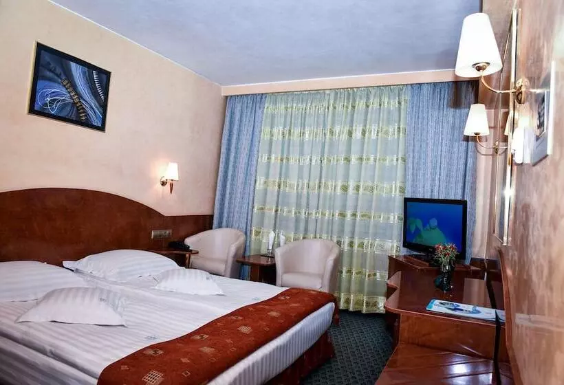 Carpati Hotel Baia Mare