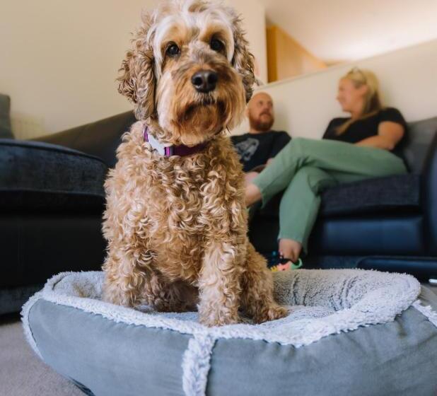 Atlantic Reach Resort