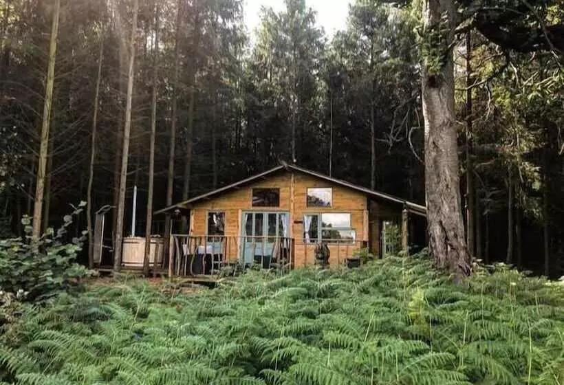 Camp Kátur