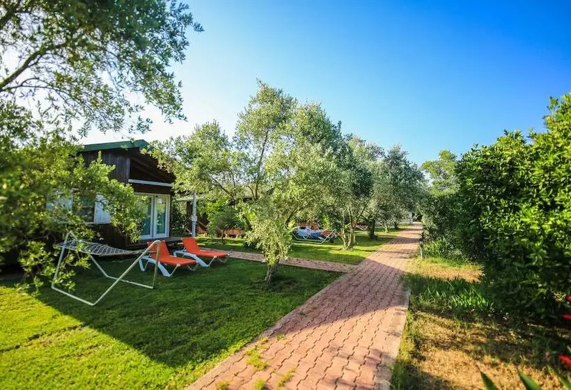 Hotelli Cirali Zakkum Bungalow