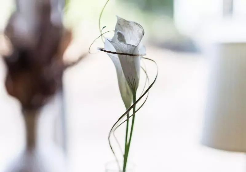 Majatalo The Cottage