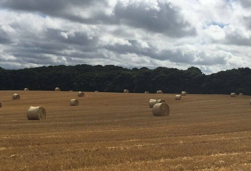 Riding Farm Cottages