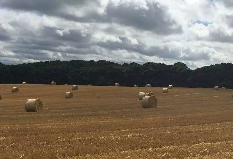 Riding Farm Cottages