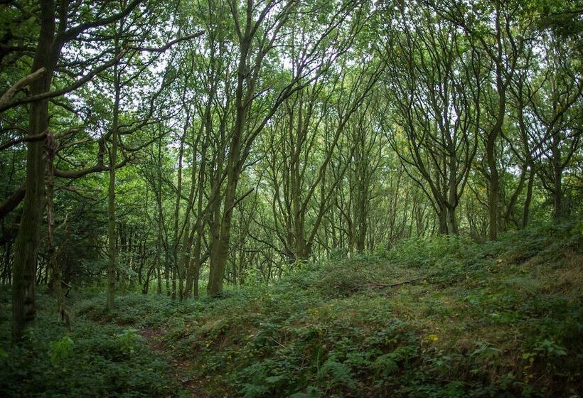 Riding Farm Cottages