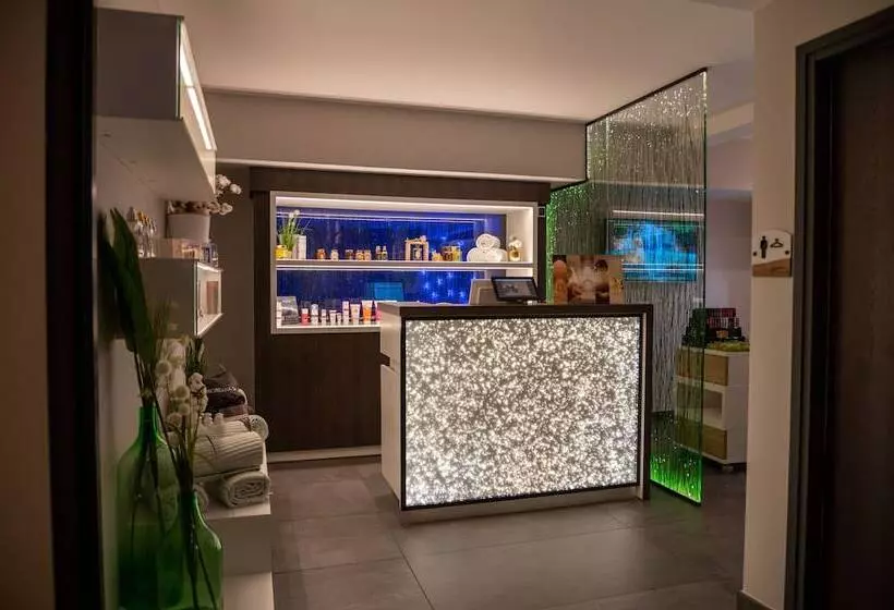هتل Montana Chalet Hôtel Spa