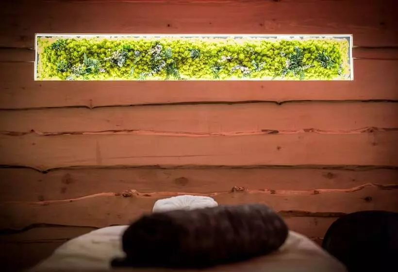 هتل Montana Chalet Hôtel Spa