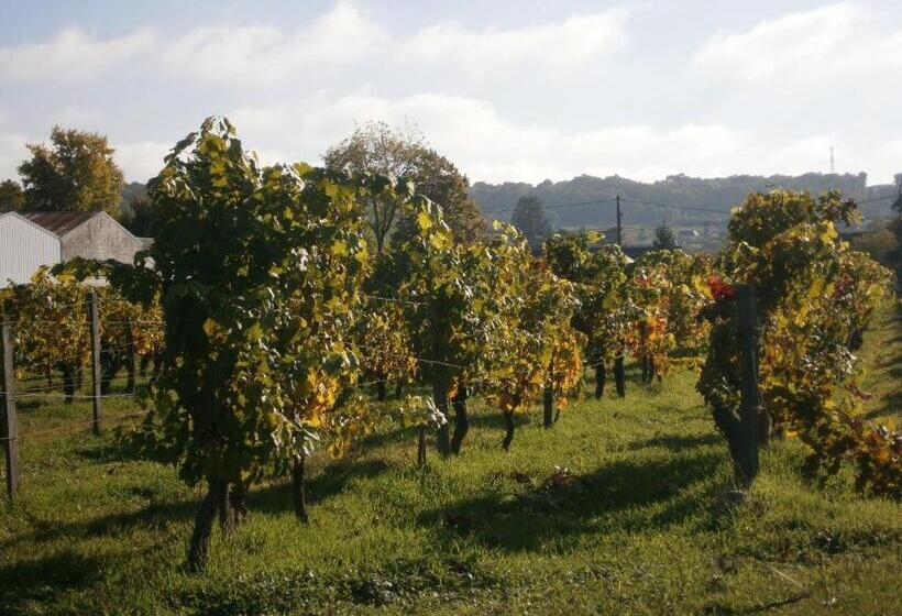 پانسیون Chez Elisa