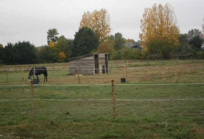 پانسیون Chez Elisa