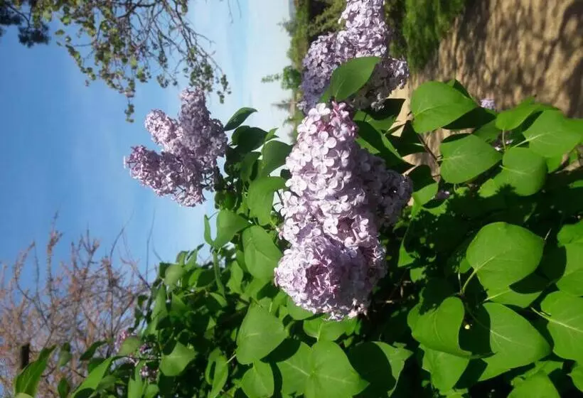 ベッドアンドブレックファースト Chambres D Hotes  Le Calme