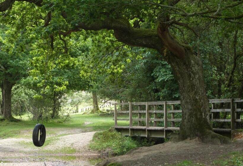 住宿加早餐 Vinegar Hill Pottery