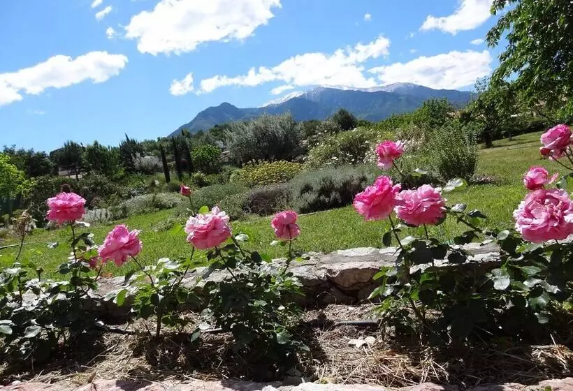 Castell Rose