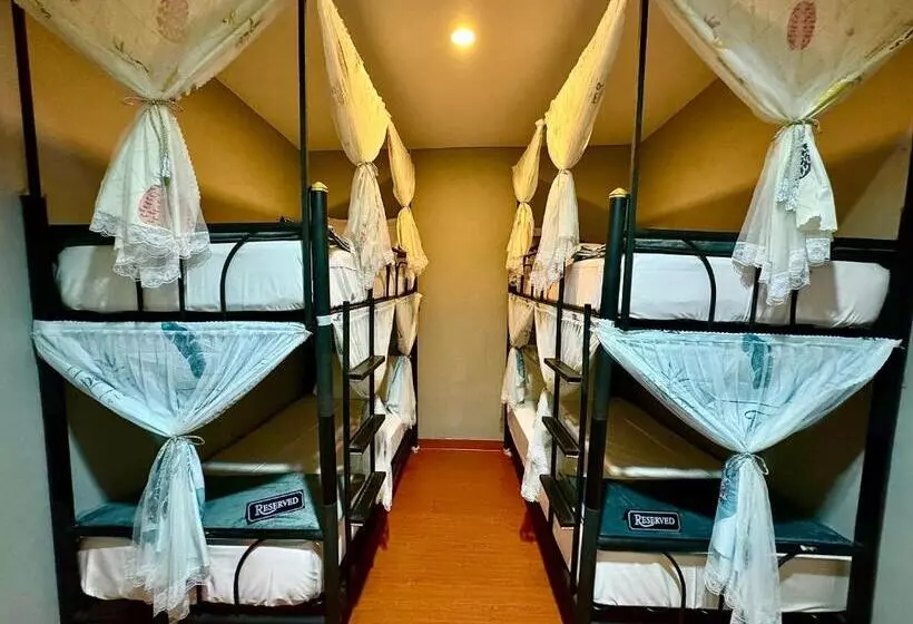 Eclipse Hostel And Bar