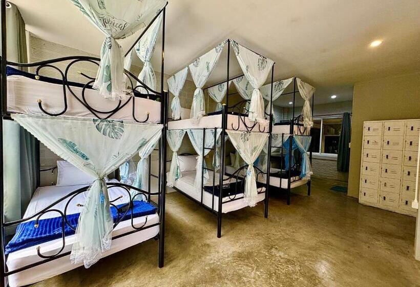 Eclipse Hostel And Bar