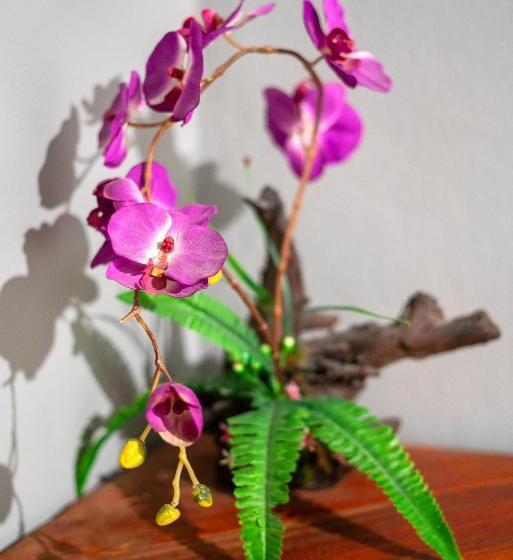 Eclipse Hostel And Bar