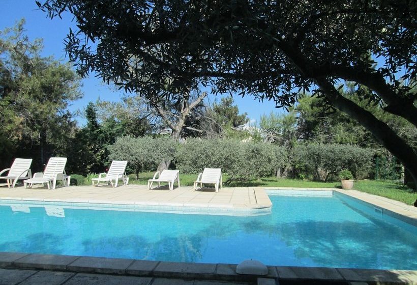 La Garrigue Des Alpilles