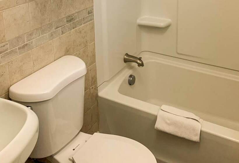 汽车旅馆 Hampton Motor Inn