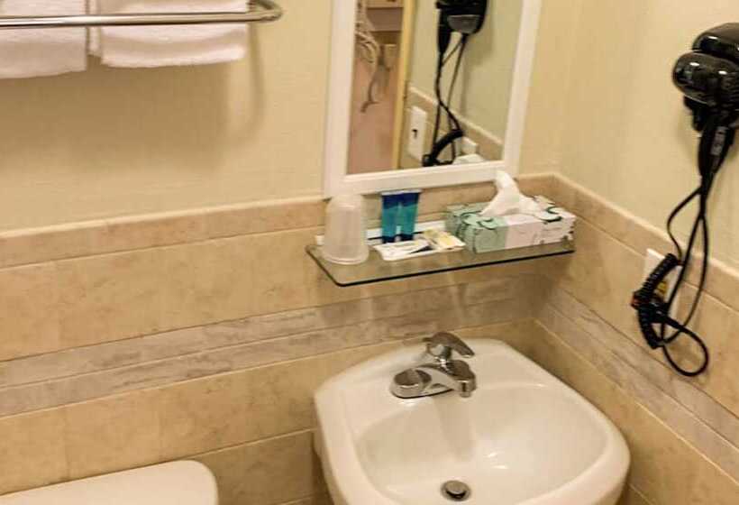 汽车旅馆 Hampton Motor Inn