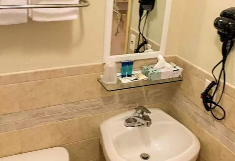 Motelli Hampton Motor Inn