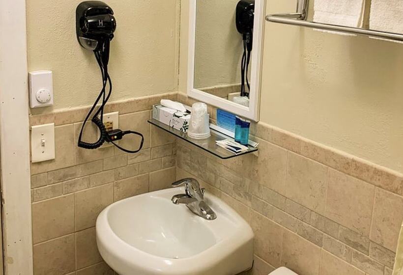 汽车旅馆 Hampton Motor Inn