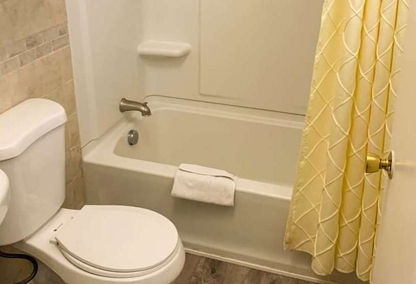 汽车旅馆 Hampton Motor Inn