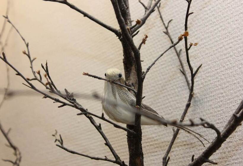 هاستل Stf Ostersund Ledkrysset