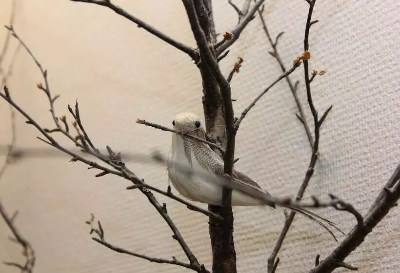 Vandrarhem Stf Ostersund Ledkrysset