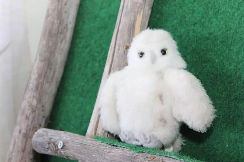 Vandrarhem Stf Ostersund Ledkrysset