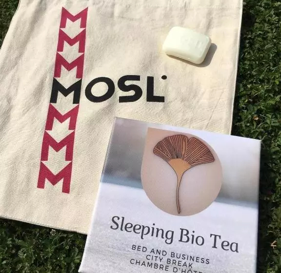 تختخواب و صبحانه Sleeping Bio Tea