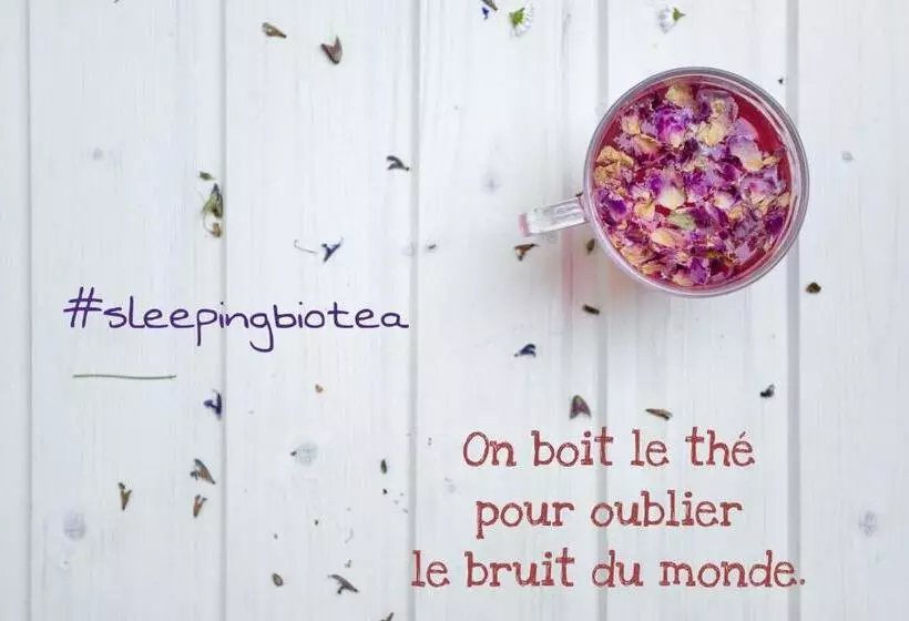 تختخواب و صبحانه Sleeping Bio Tea