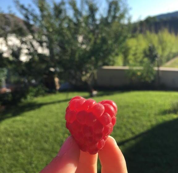 住宿加早餐 Sleeping Bio Tea