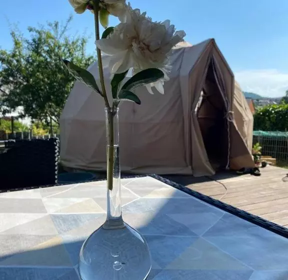 تختخواب و صبحانه Sleeping Bio Tea