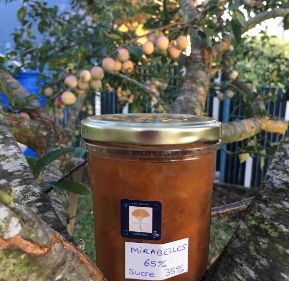 住宿加早餐 Sleeping Bio Tea