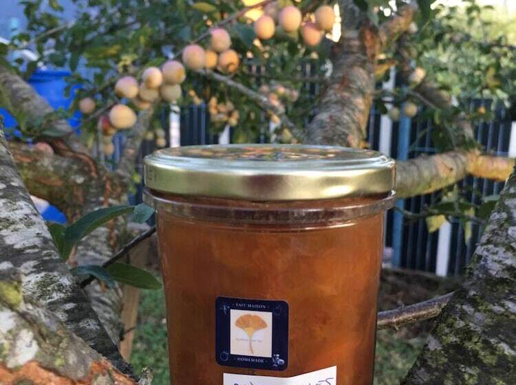 住宿加早餐 Sleeping Bio Tea