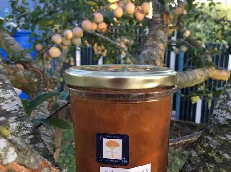 تختخواب و صبحانه Sleeping Bio Tea