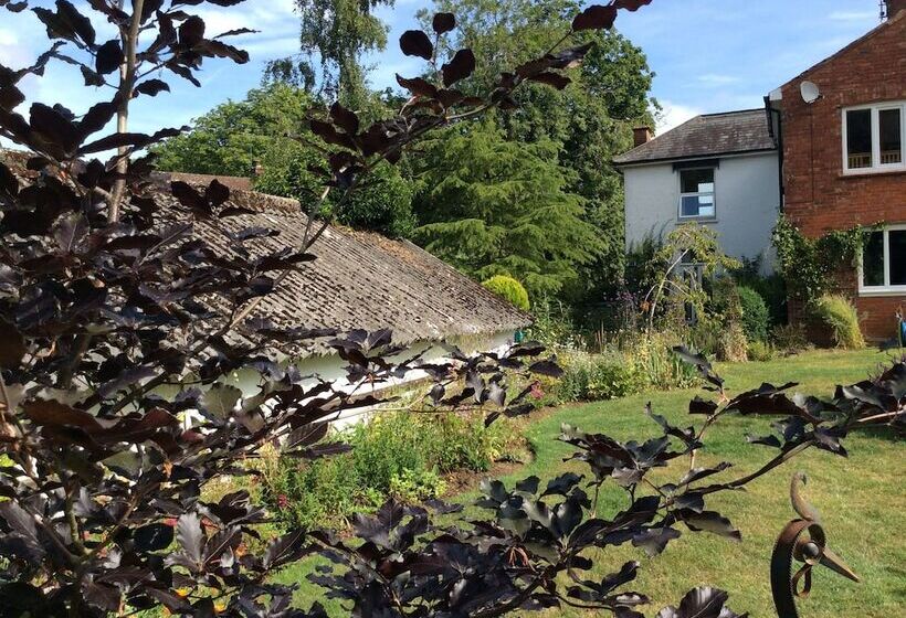 민박 The White House