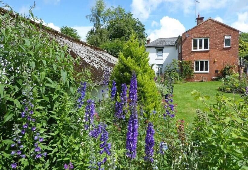 민박 The White House