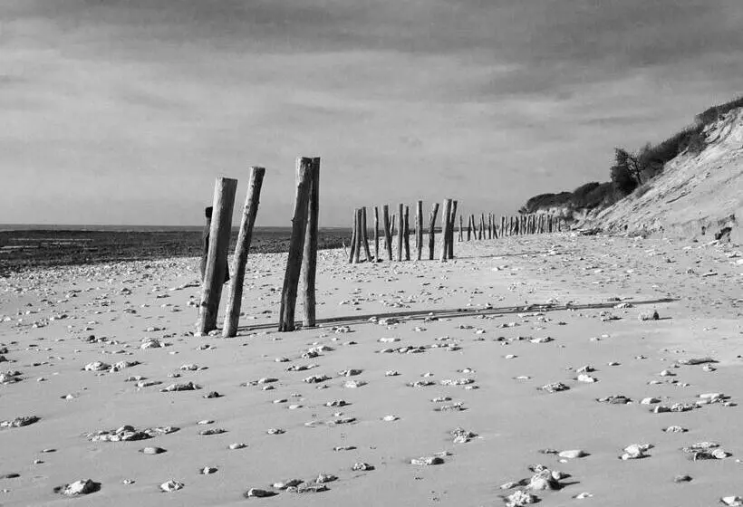 Hotelli Les Bains Boyardville   Hôtel Et Restaurant