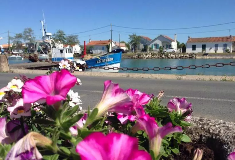 Hotelli Les Bains Boyardville   Hôtel Et Restaurant