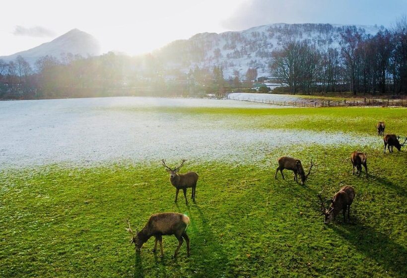 בית מלון כפרי Loch Rannoch Highland Club
