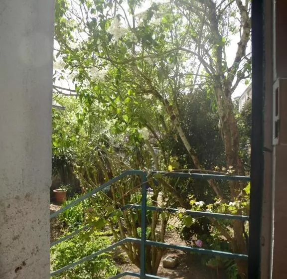 Majatalo La Petite Vigne