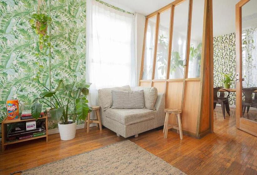 فندق صغير The Steady