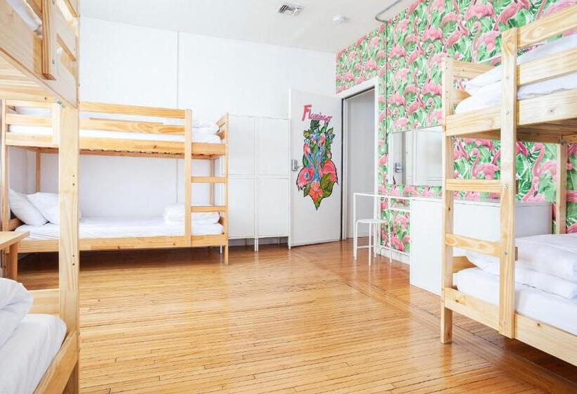 فندق صغير The Steady