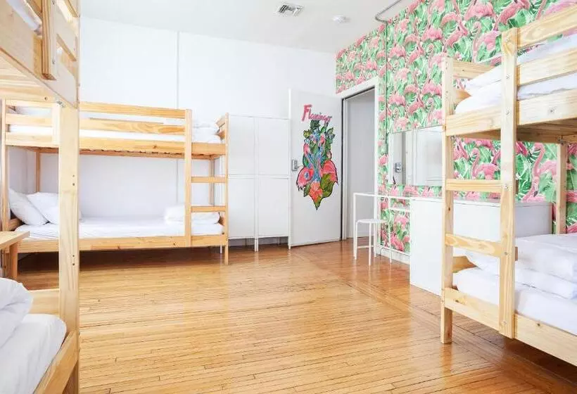 ユースホステル The Steady