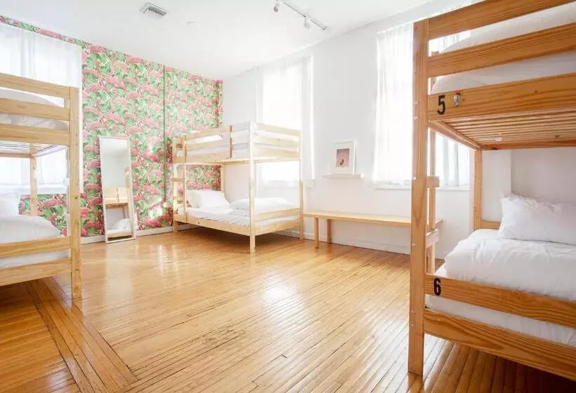 ユースホステル The Steady