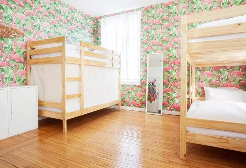 ユースホステル The Steady