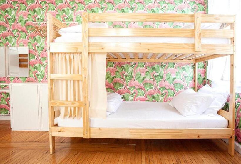 فندق صغير The Steady