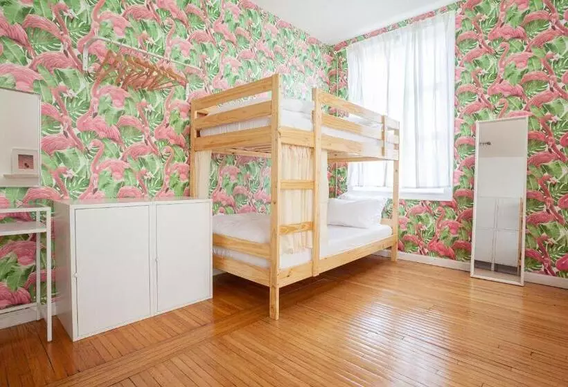 ユースホステル The Steady