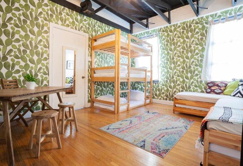 فندق صغير The Steady